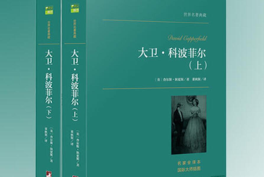 大卫科波菲尔读后感500字