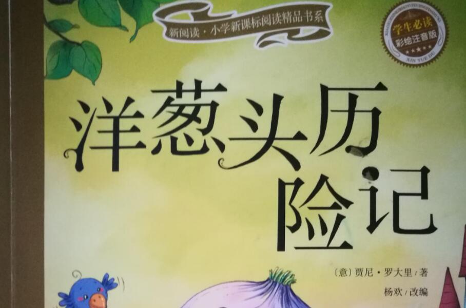 洋葱头历险记读后感500字