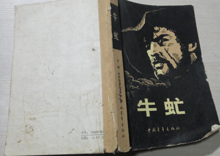 牛虻读后感500字