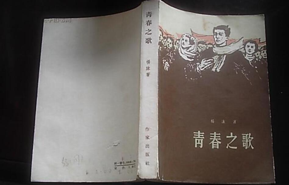 青春之歌读后感500字