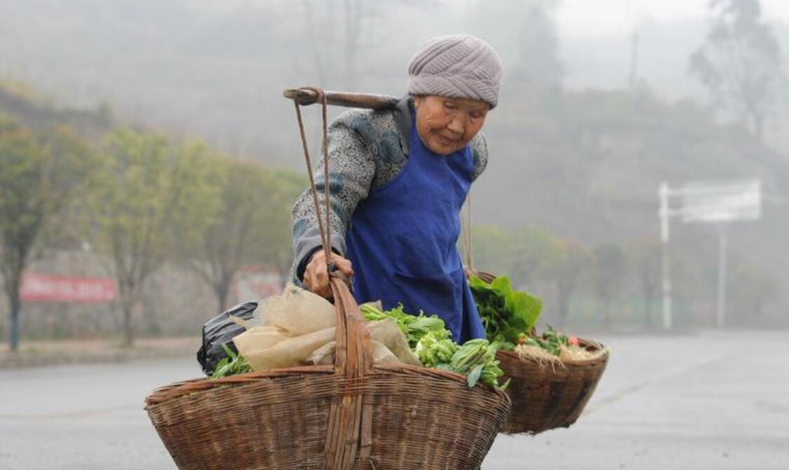 卖菜的老奶奶作文500字