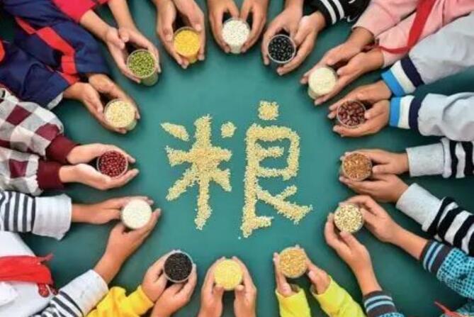 我听爷爷奶奶讲节粮500字作文
