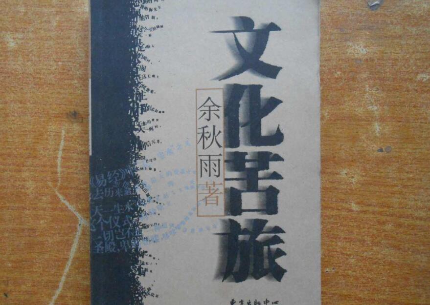 文化苦旅读后感800字
