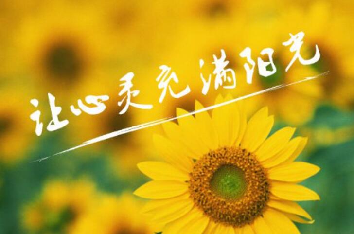 阳光常在作文600字初中