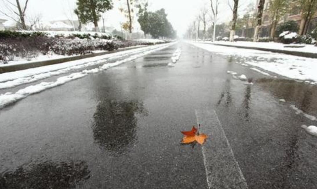 冬雪即景作文五年级400字