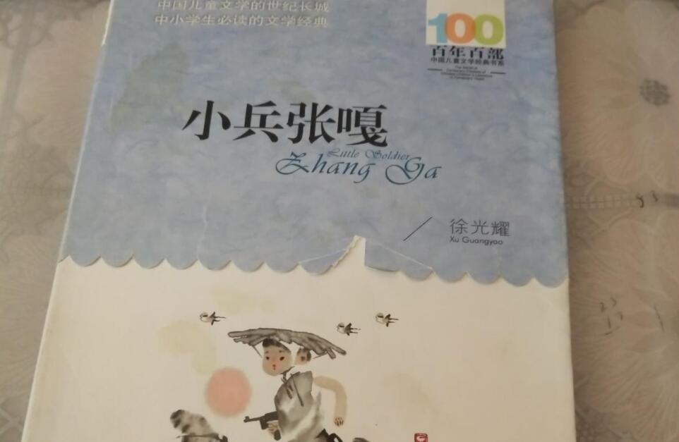 小兵张嘎读后感500字3篇