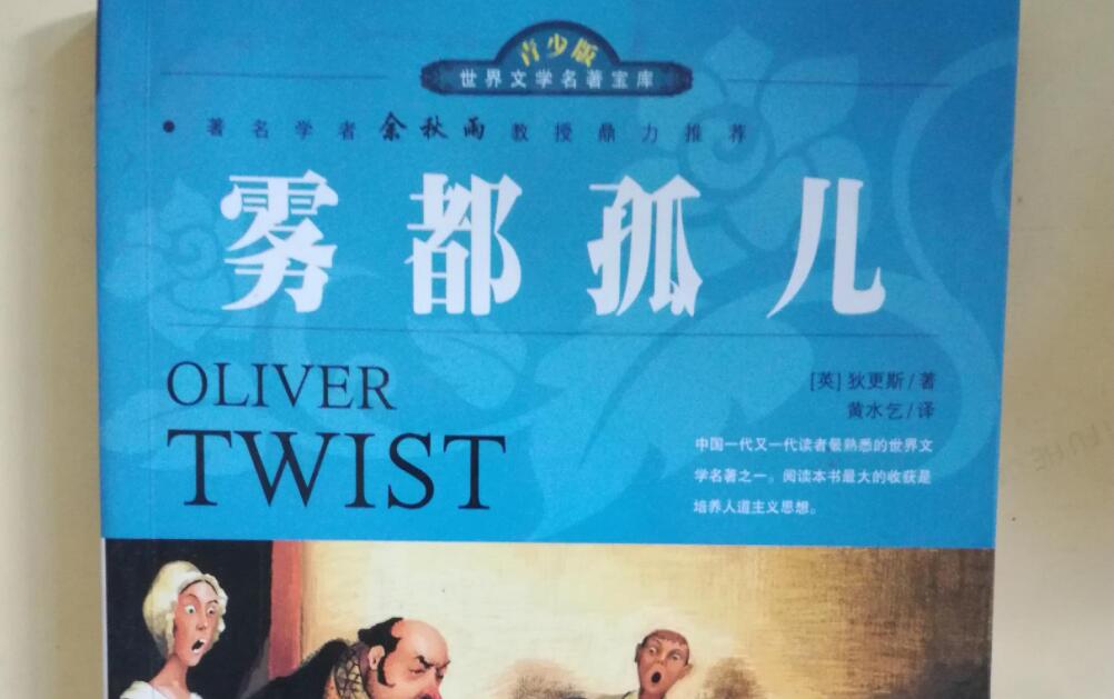 雾都孤儿读后感500字初中