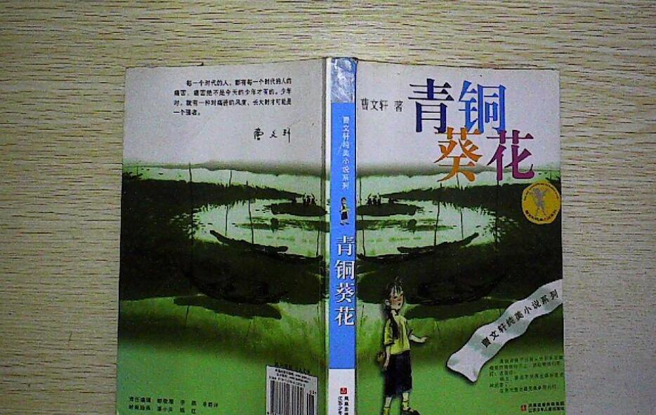 青铜葵花读后感800字