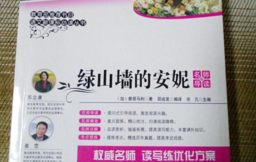 绿山墙的安妮读后感800字