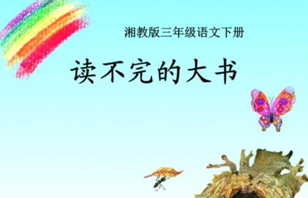 读不完的大书课后小练笔200字3篇
