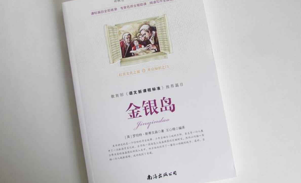金银岛读后感800字