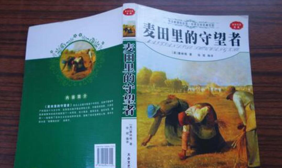 麦田里的守望者读后感800字