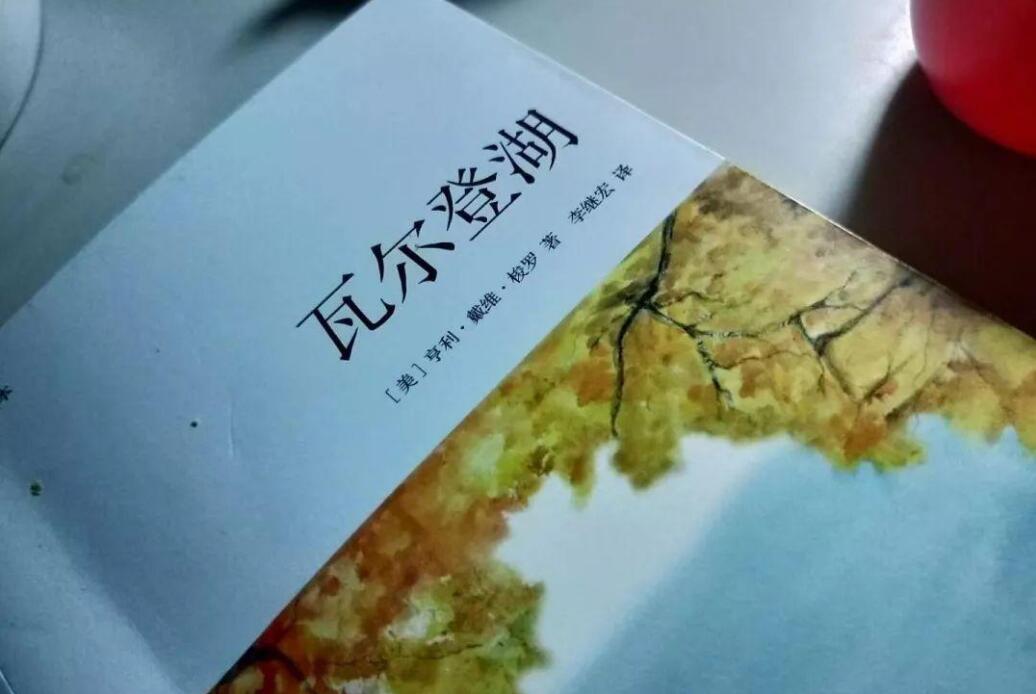 瓦尔登湖读后感800字
