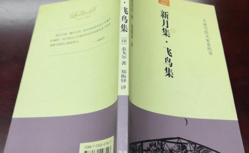 飞鸟集读后感800字
