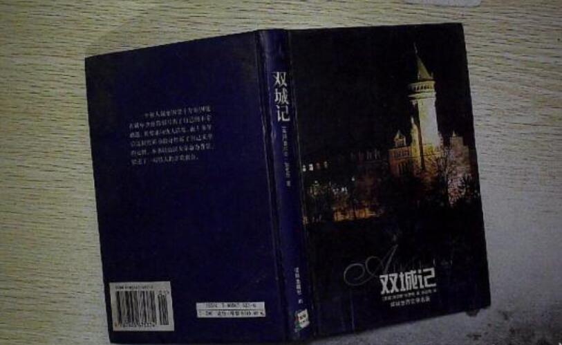 双城记读后感800字