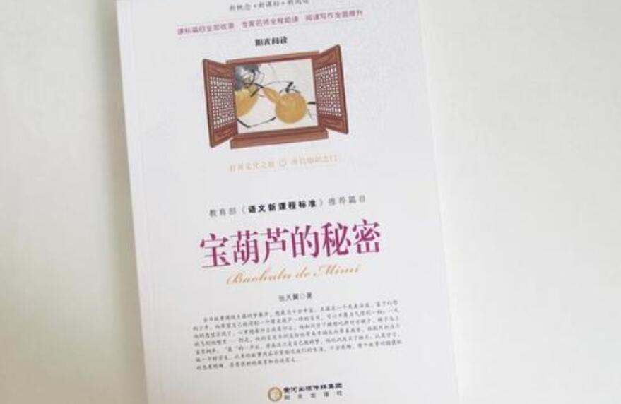 宝葫芦的秘密读后感800字