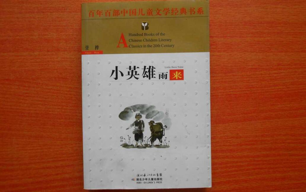小英雄雨来读后感800字