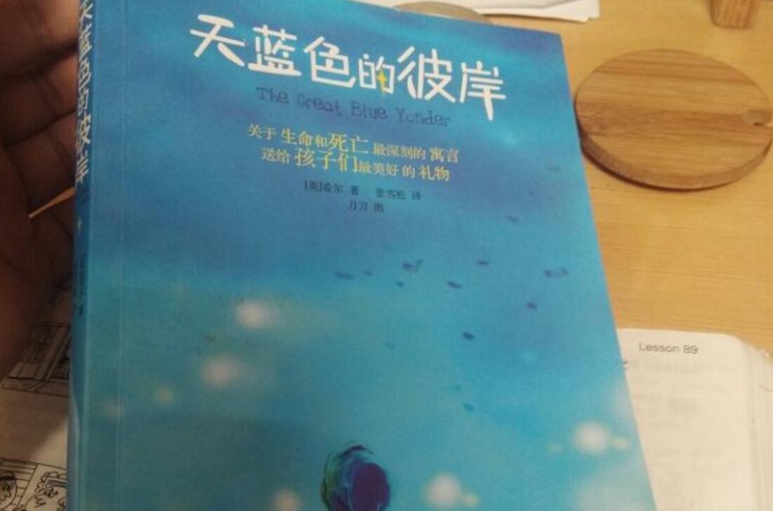 天蓝色的彼岸读后感800字