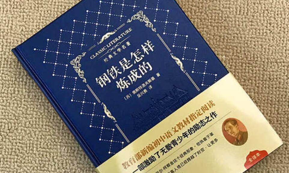 读《钢铁是怎样炼成的》有感600字初二