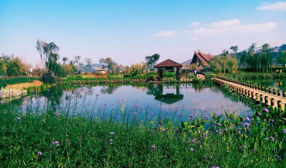 湿地公园的四季500字作文