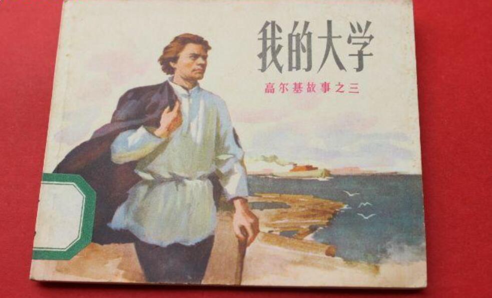 我的大学读后感800字