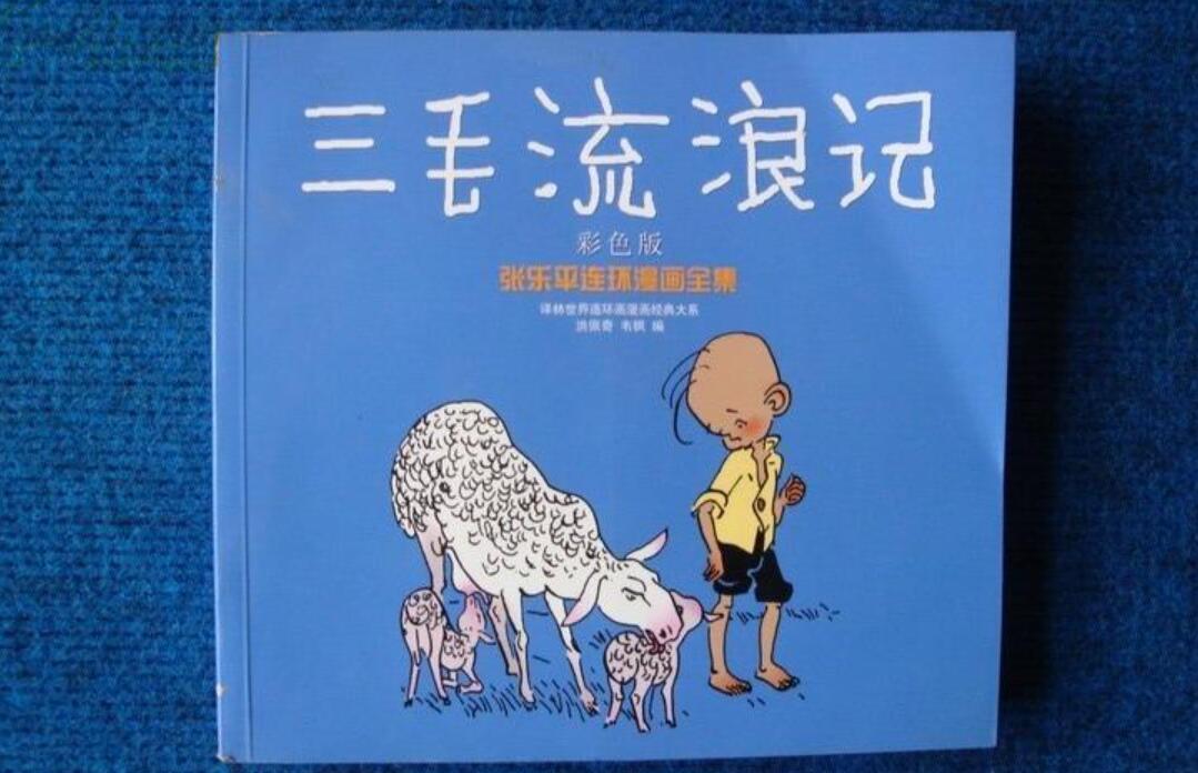 三毛流浪记读后感800字