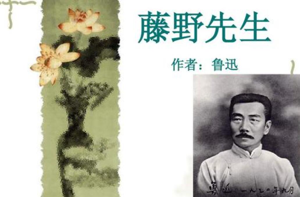 藤野先生读后感800字