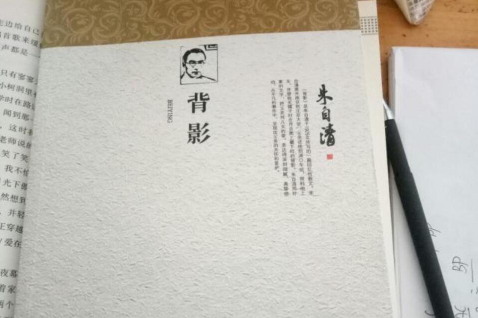 背影读后感800字