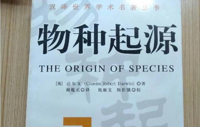 物种起源读后感800字