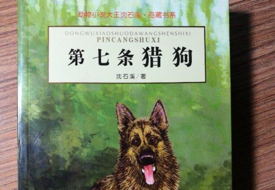 第七条猎狗读后感800字