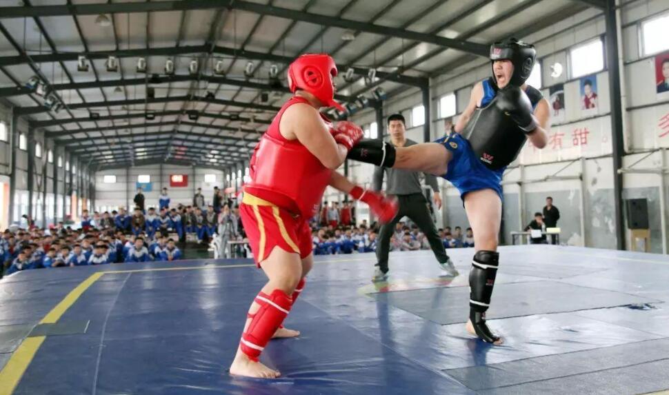 周末看散打比赛.jpg
