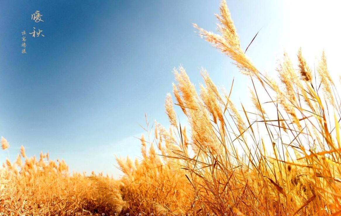 暖秋作文600字初中