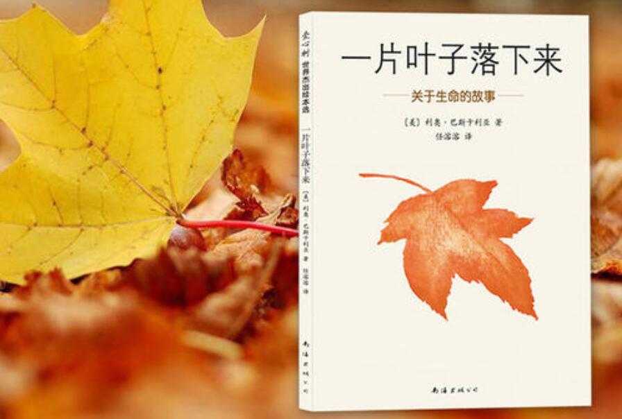 《一片叶子落下来》书籍.jpg