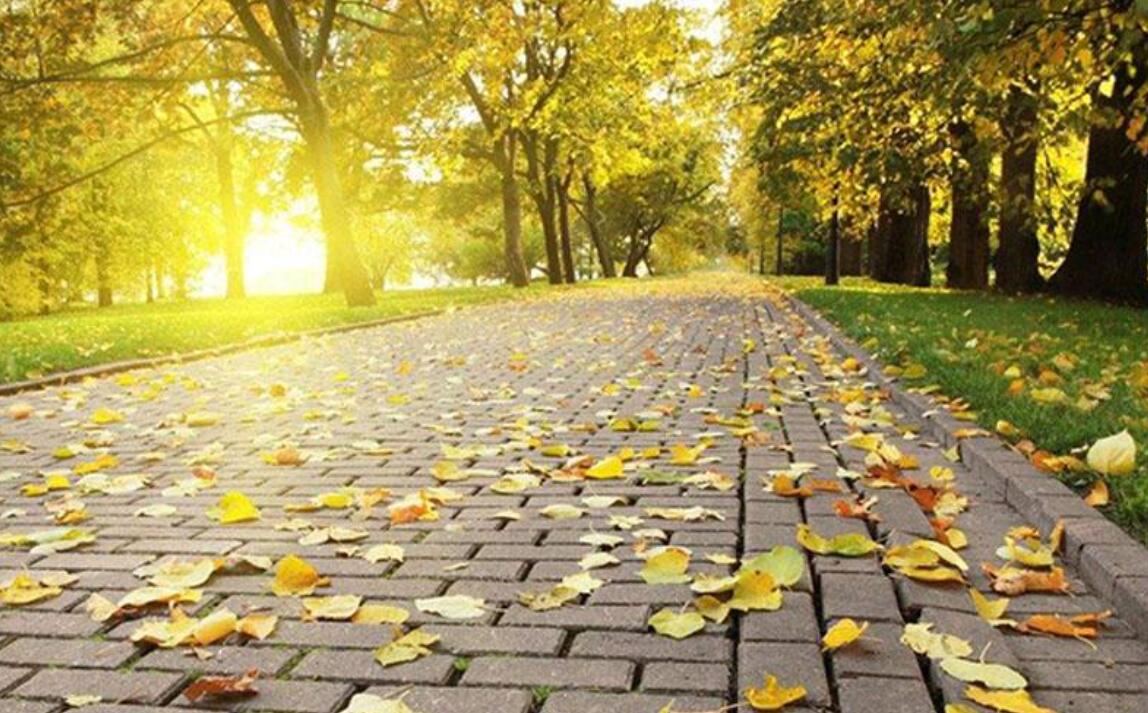 秋天来临.jpg 秋天来临.jpg