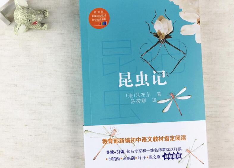 昆虫记读后感400字小学四年级