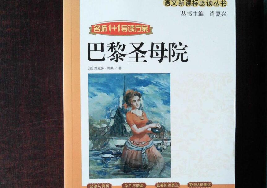 巴黎圣母院读后感400字五年级