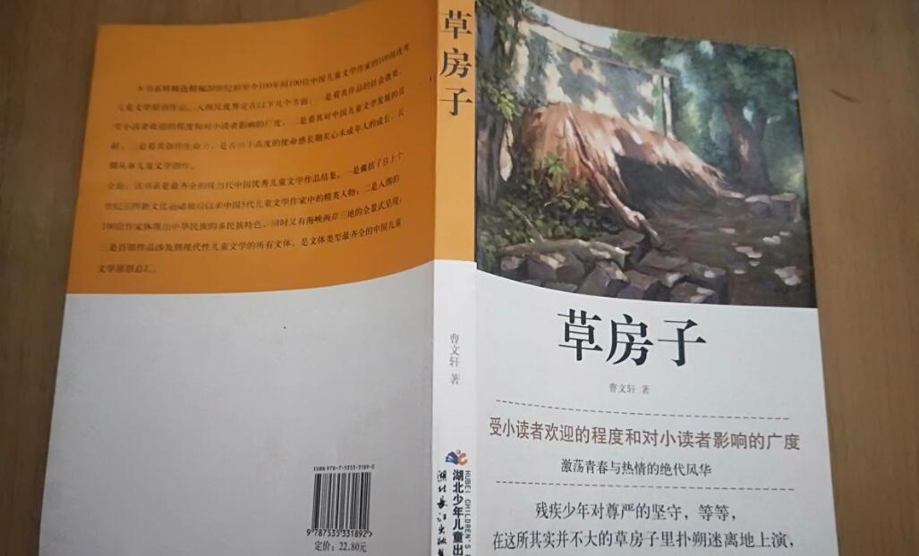 草房子读后感400字五年级