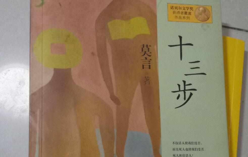 十三步读后感1000字