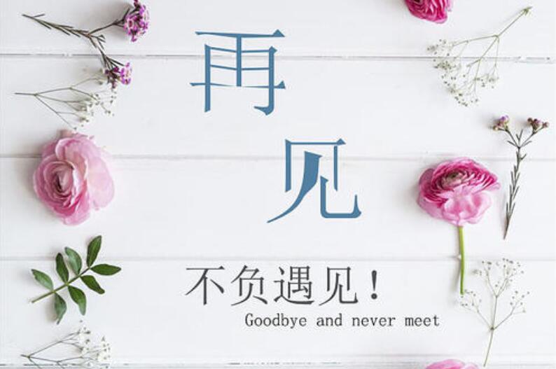 遇见作文600字初二