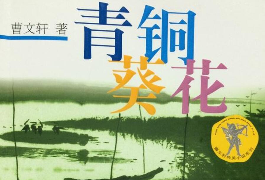 推荐一本好书作文700字青铜葵花