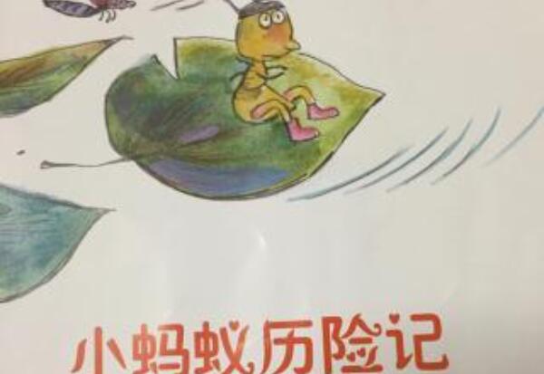蚂蚁历险记作文800字想象