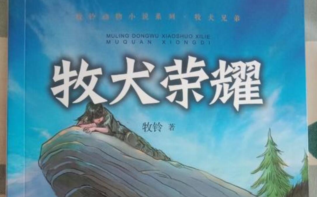 牧犬荣耀读后感500字作文