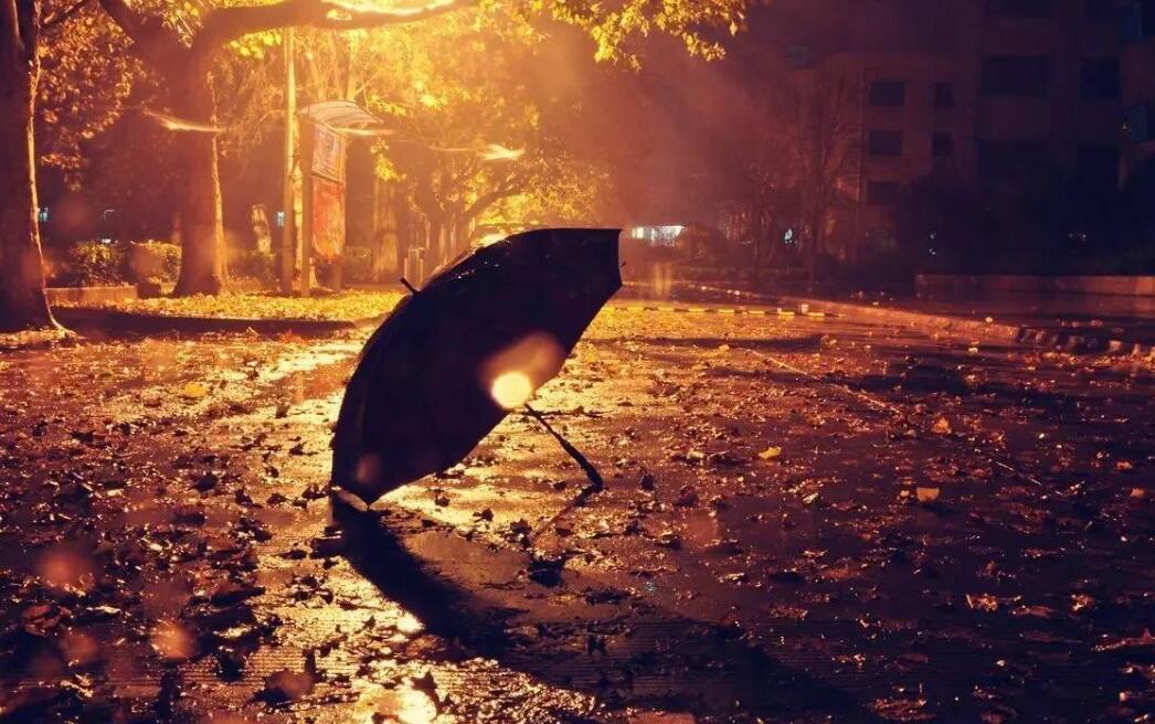雨夜作文800字高中生
