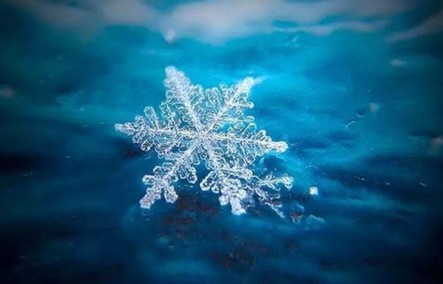 如果我是一片雪花仿写二年级
