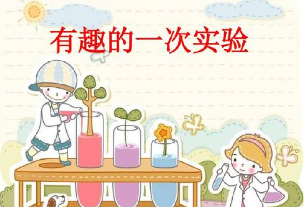 一个有趣的实验作文300字三年级下册