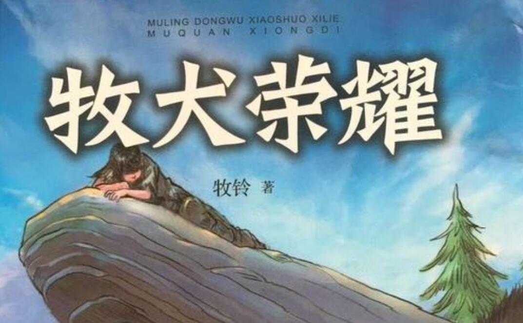 牧犬荣耀读后感400字