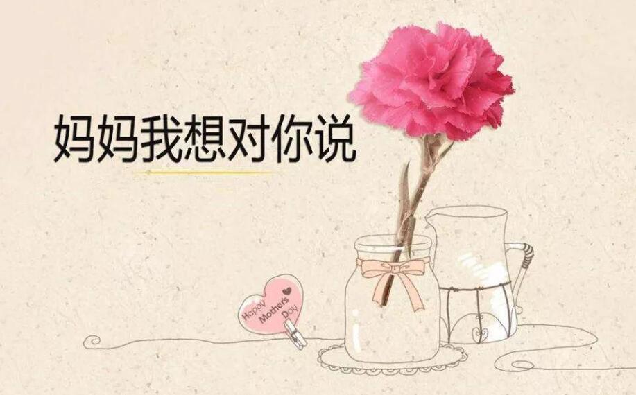 妈妈我想对你说作文600字初中