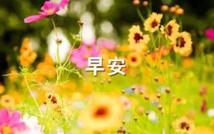 美好的一天作文450字五年级