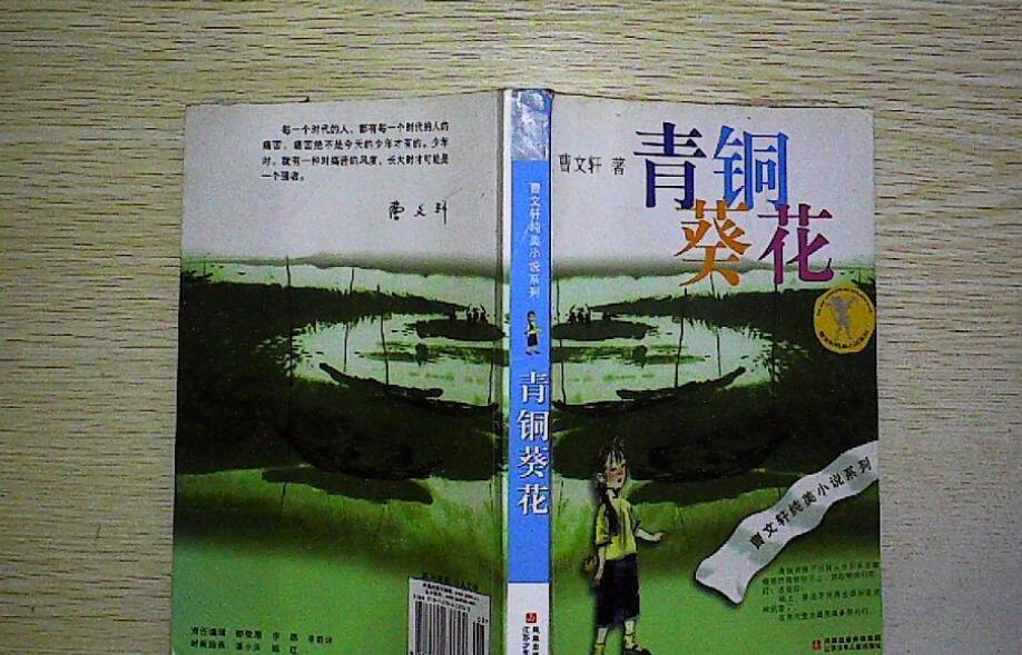 《青铜葵花》读后感2000字