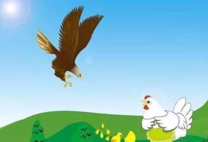 如果母鸡能在天空飞翔.jpg